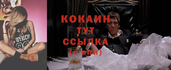 сатива Абаза