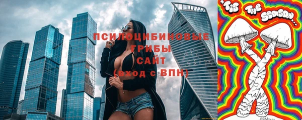 мдпв Абдулино