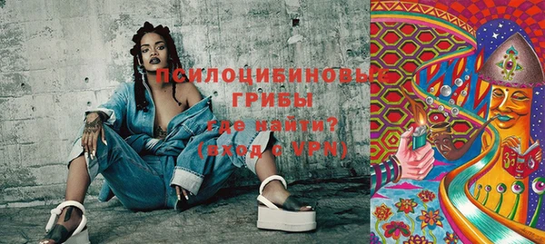 молекула духа Абинск